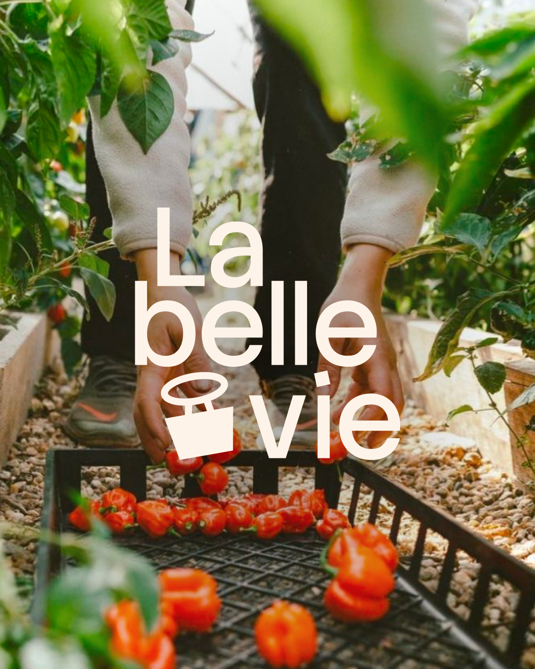 La Belle Vie logo